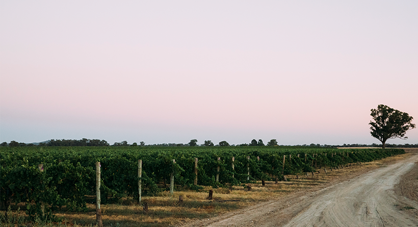 McPherson Wines estate